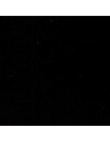 Smalto Brillante al Solvente LINTEX Linvea
