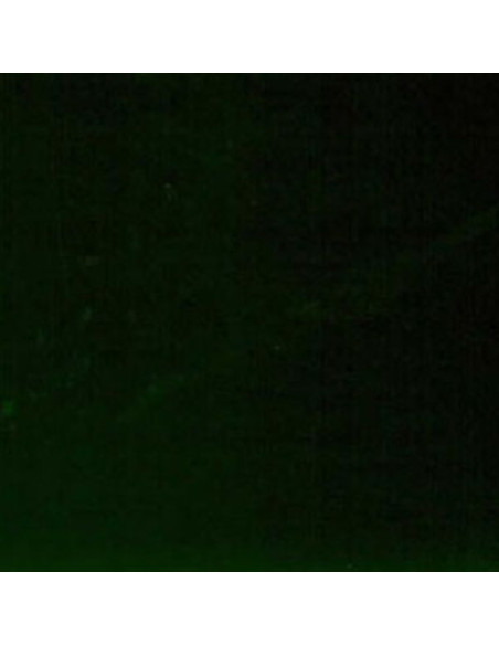 Smalto Brillante al Solvente LINTEX Linvea