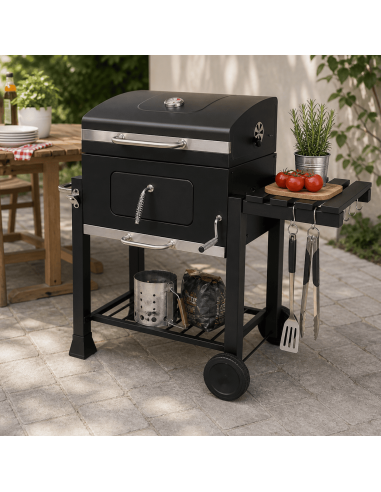 Barbecue a Carbone Vesuvio con Coperchio e...