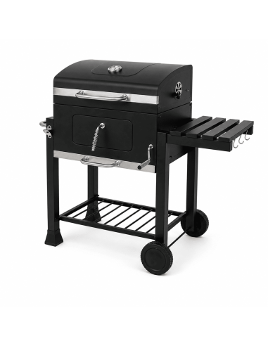 Barbecue a Carbone Vesuvio con Coperchio e...